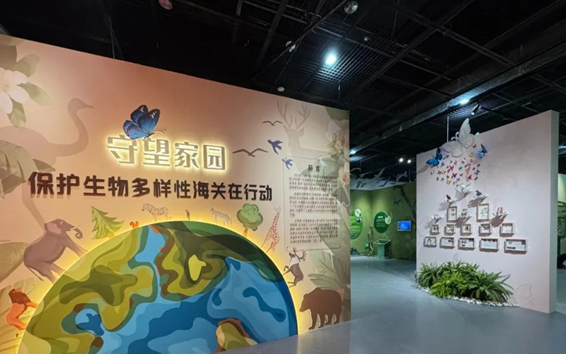 探秘“守望家園”虛擬展廳：海關守護生物多樣性